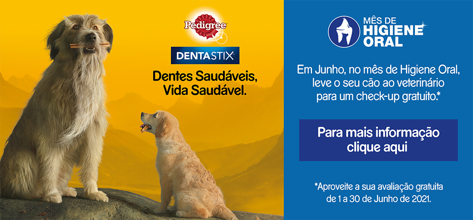 DentaStix Dentes Saudáveis, Vida Saudável.